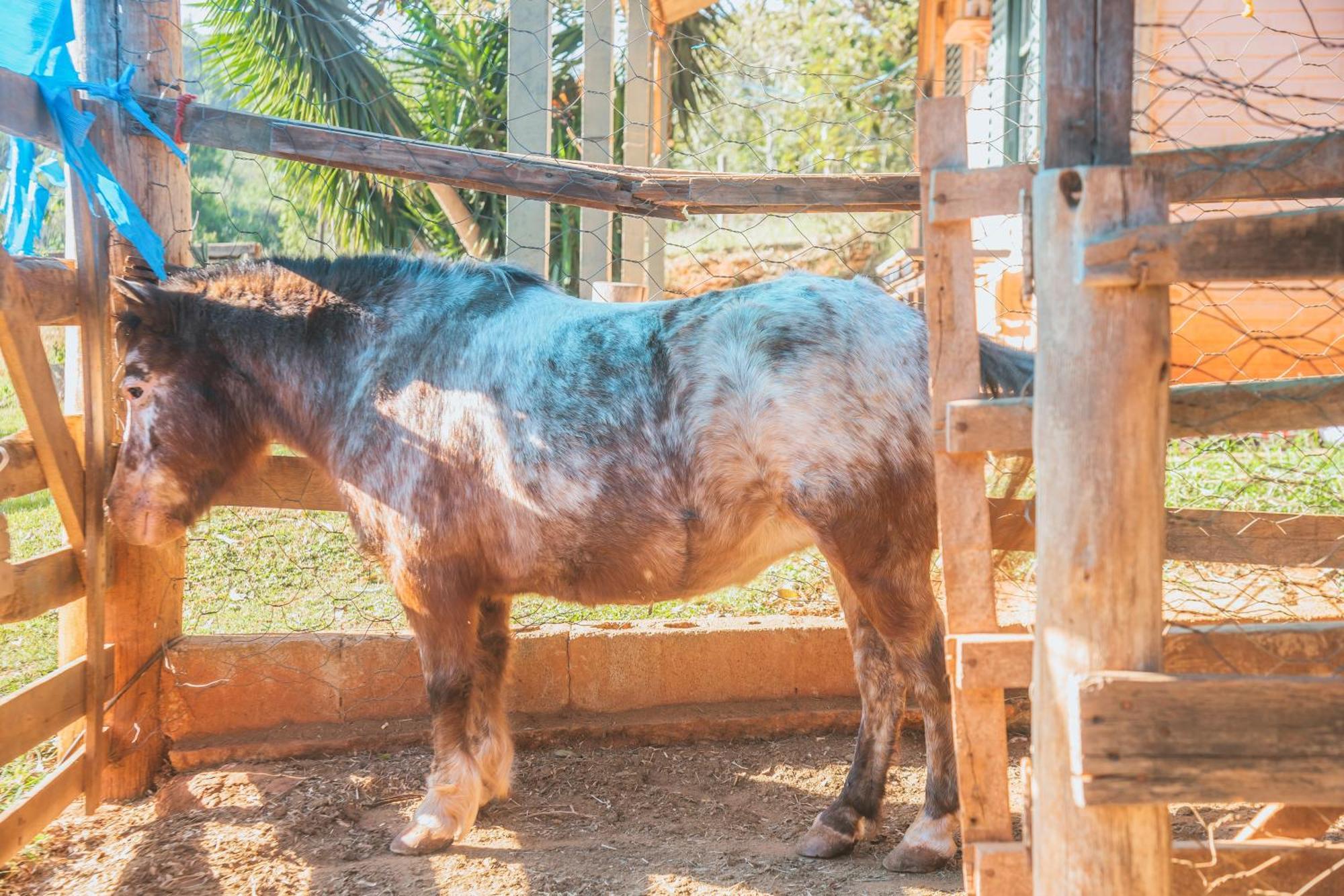 Hotel Fazenda Reviver Araçoiaba da Serra Eksteriør bilde